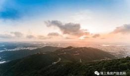 潮州爆料曝光案件最新进展,案情反转，疑点重重再引关注