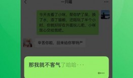 ct微信活动最新爆料,惊喜连连，福利大放送！