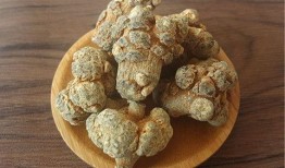 文山三七行情最新爆料,最新爆料揭示市场动态