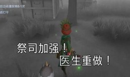 第五策划爆料最新,最新动态与未来展望
